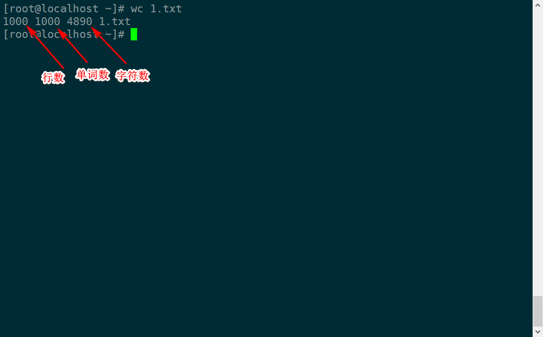 image-20220106100007750