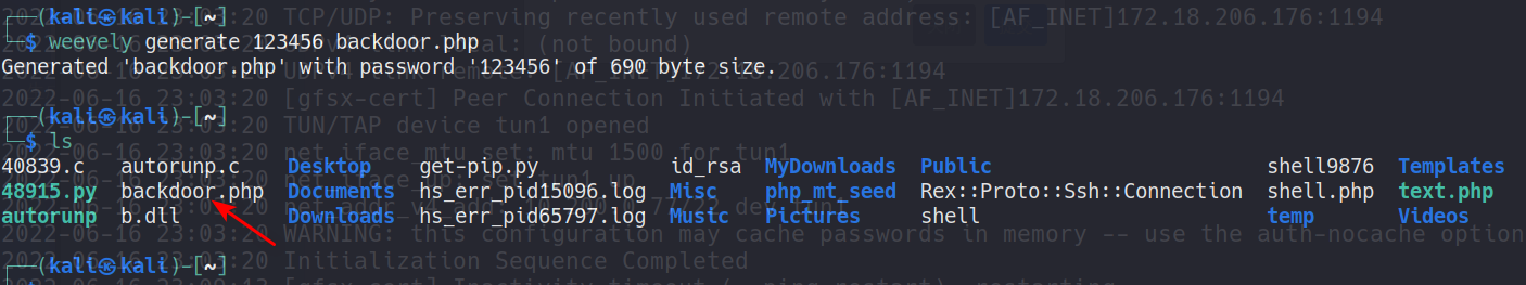 image-20220617113047690