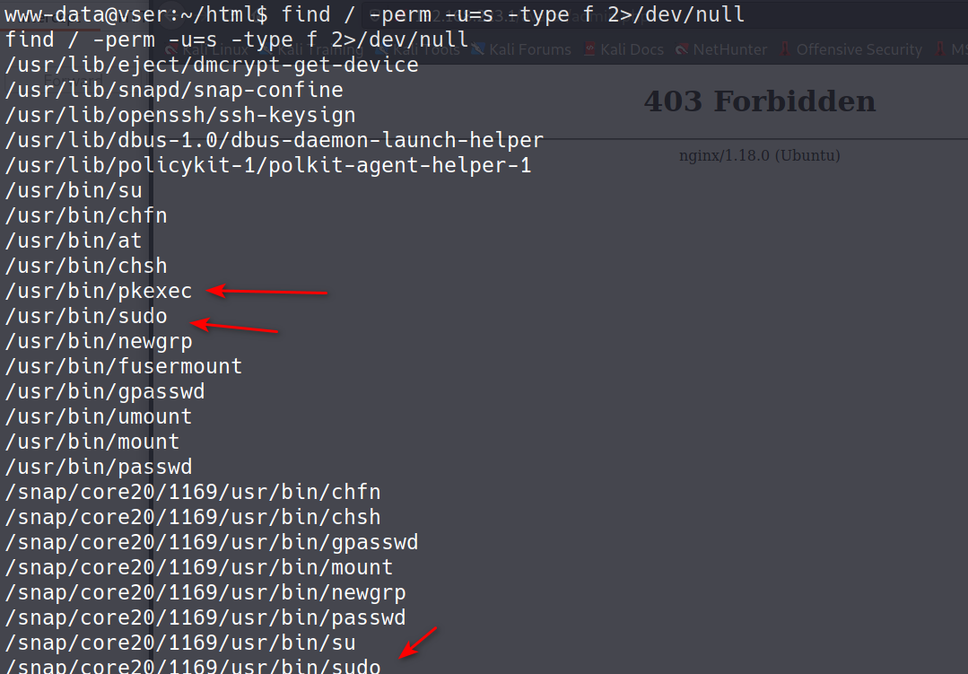 image-20220618172414702