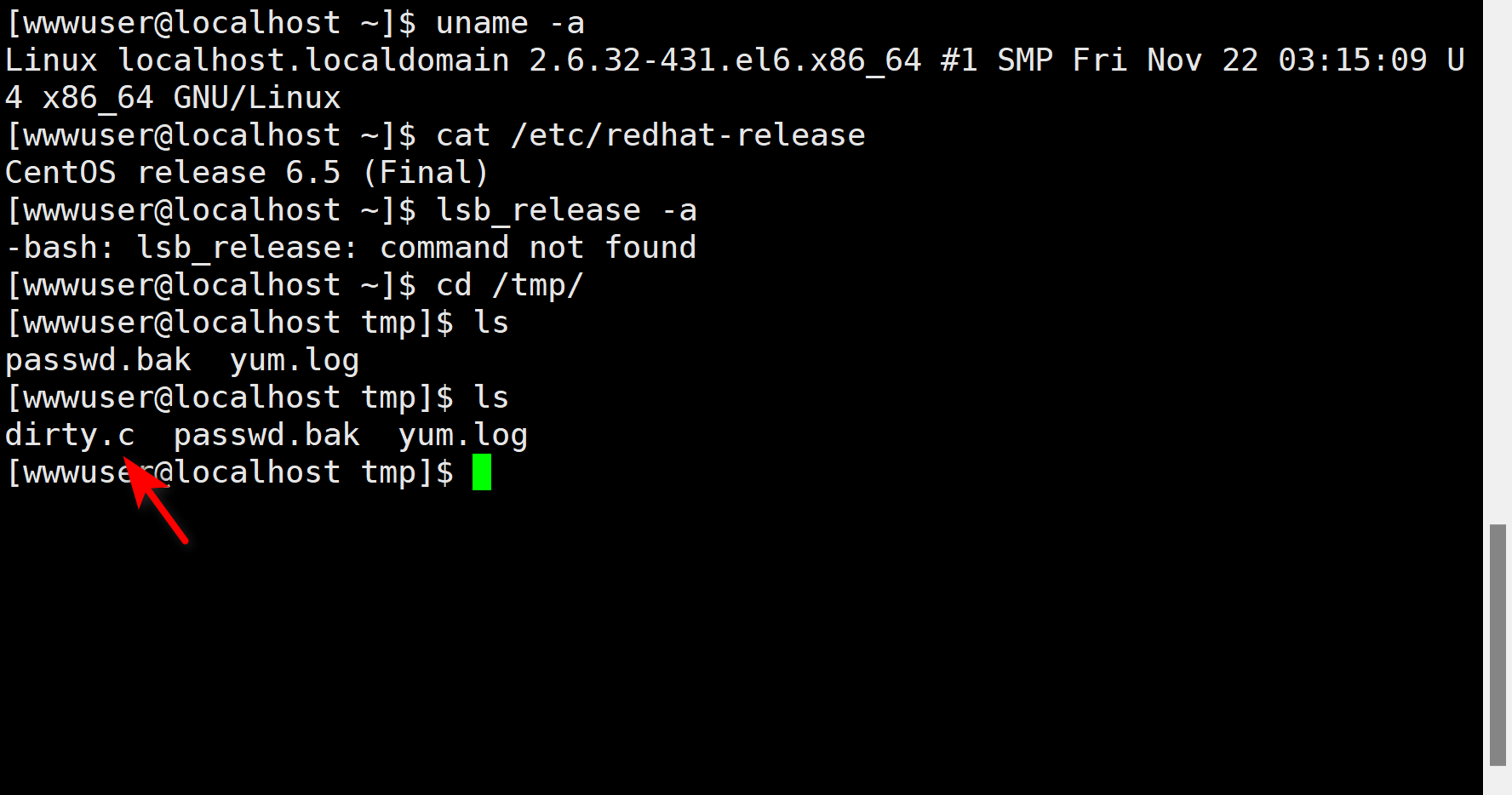 image-20221228102839476