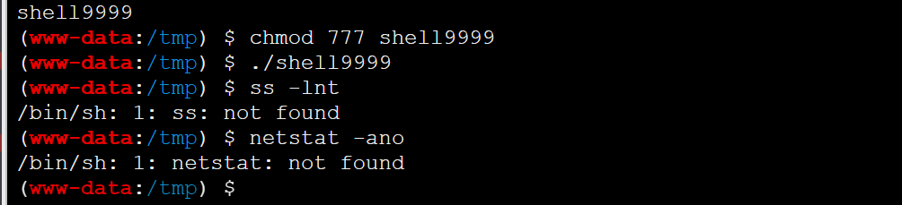 image-20221229142311862