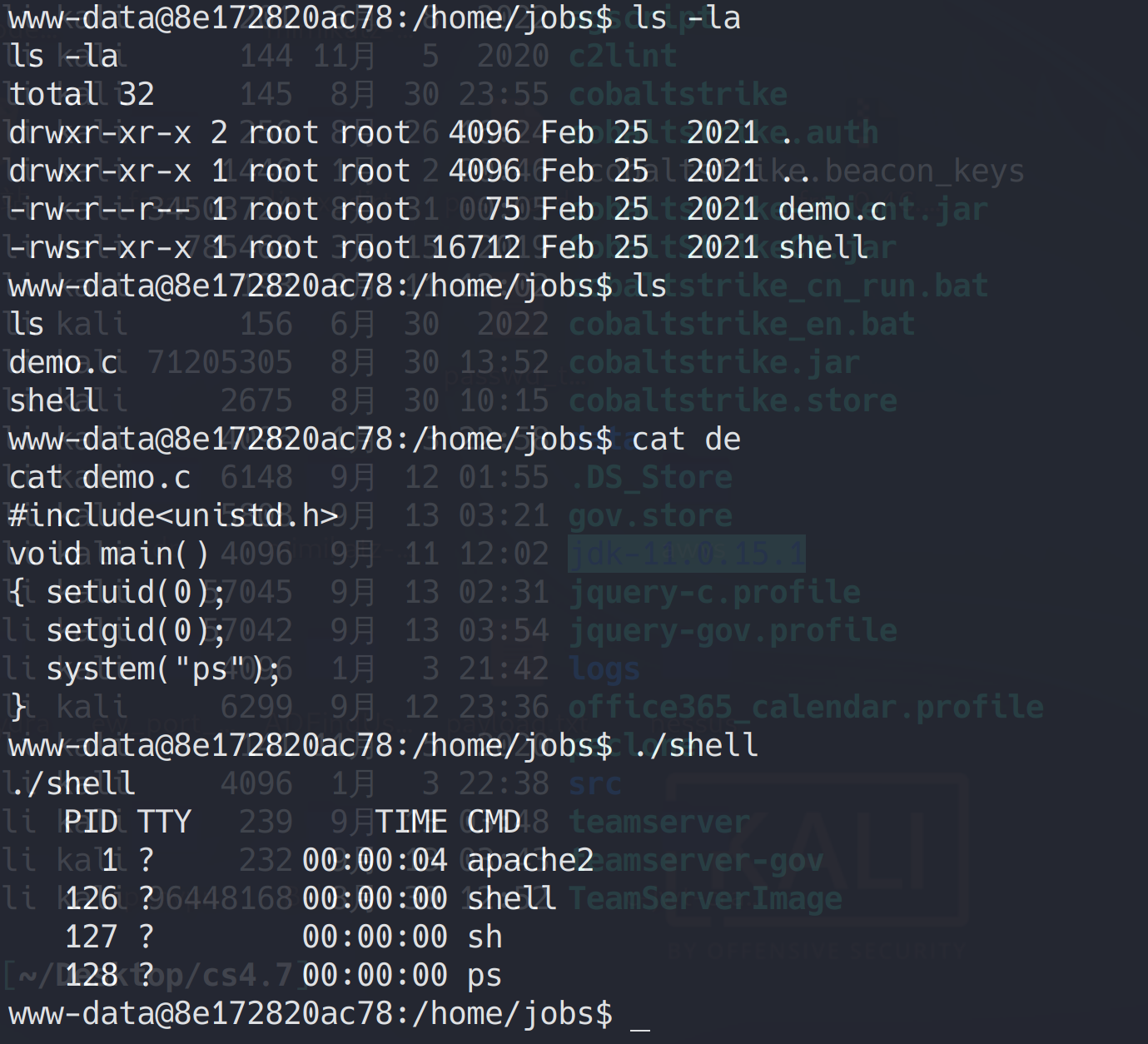 image-20230104152211183