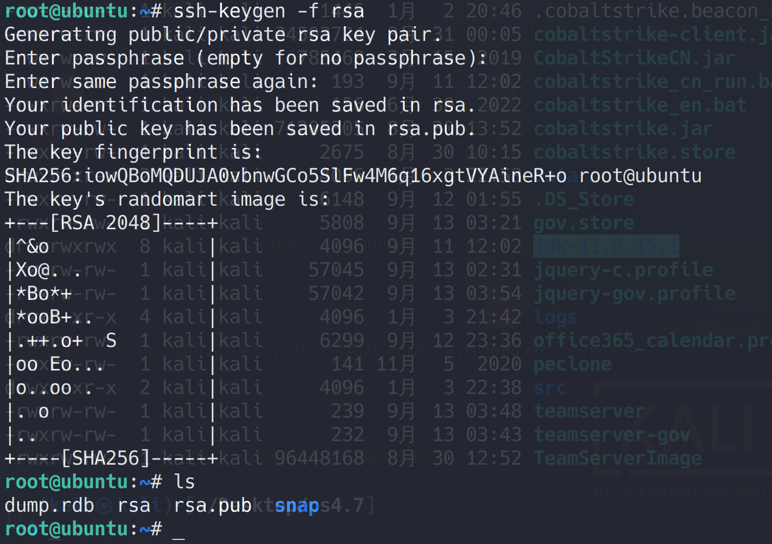 image-20230104155124325